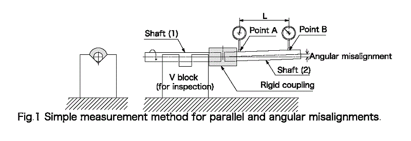 rigid image1 en